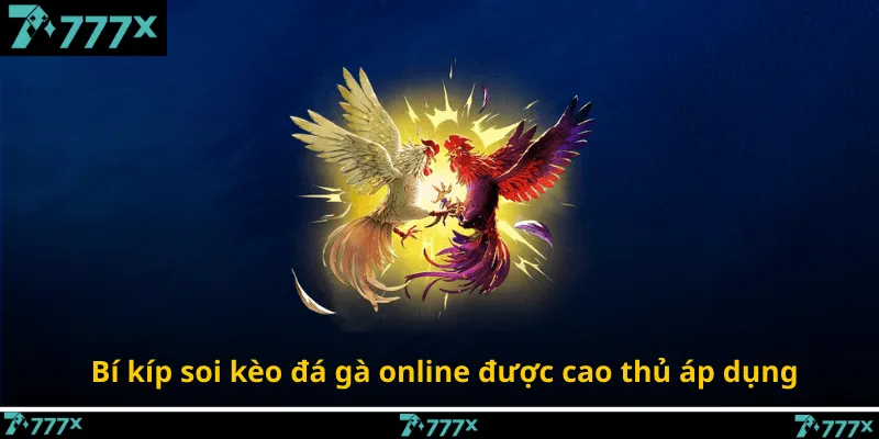 Bí kíp soi kèo đá gà online được cao thủ áp dụng